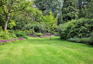 Optimiser l'expérience du jardin à Rethel