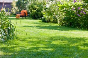 travaux jardin et paysage Rethel